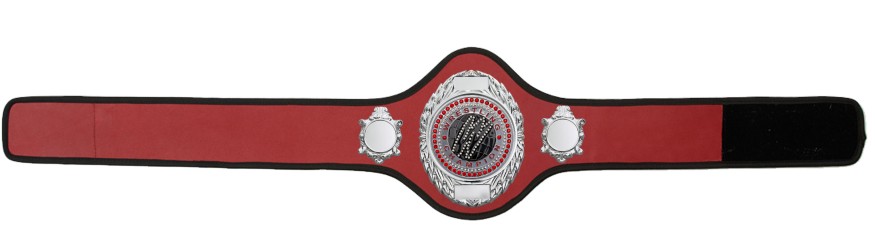 WRESTLING BELT-PRO286/S/WRESTGEMS-10+ COLOURS